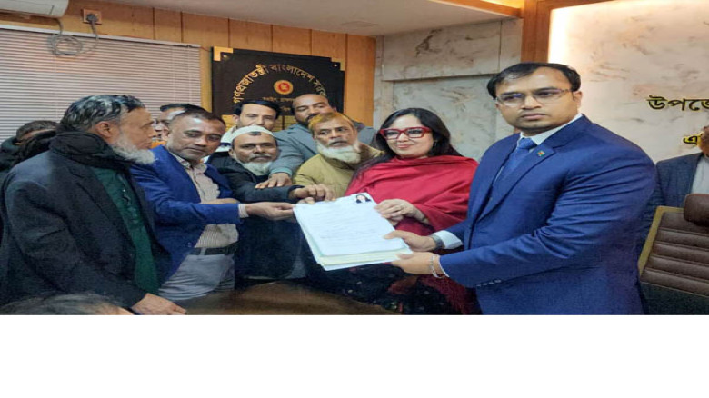 স্বতন্ত্র হিসেবে ভোটের মাঠে নামলেন ব্যারিস্টার রুমিন ফারহানা