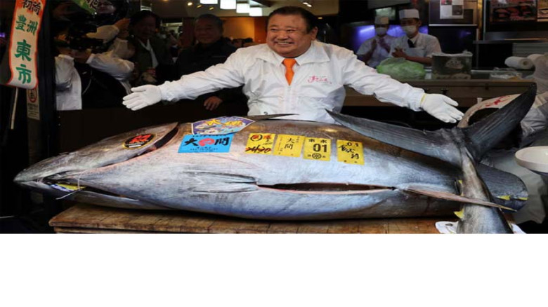 নববর্ষের নিলামে রেকর্ড, এক টুনার দাম ছাড়াল ৫১০ মিলিয়ন ইয়েন