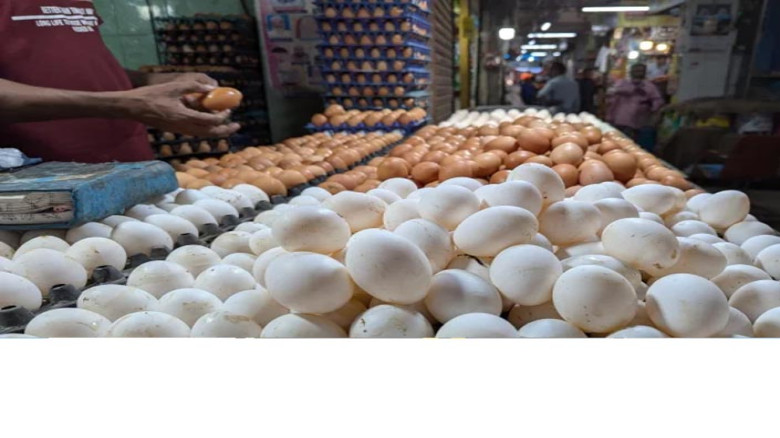 ডিমের বাজার ১৮ কোটি থেকে ৬ কোটিতে, চাপে খামারি