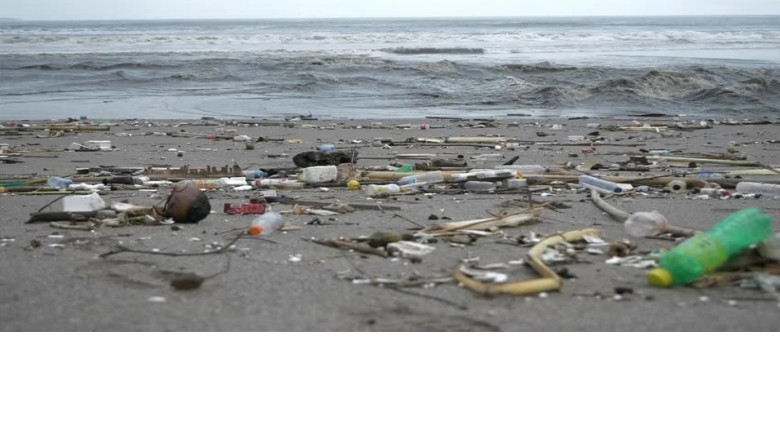 বঙ্গোপসাগরের দুই হাজার মিটার গভীরেও প্লাস্টিক, বাড়ছে জেলিফিশ