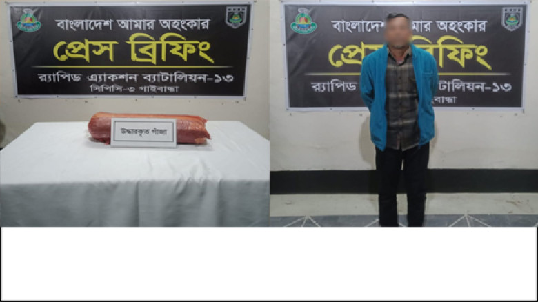 RAB-১৩ এর অভিযানে গাইবান্ধায় মাদক ব্যবসায়ী আটক...