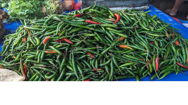হঠাৎ ঝাঁজ বেড়েছে কাঁচামরিচের, বাড়তি দামে কিনতে বাধ্য ক্রেতার