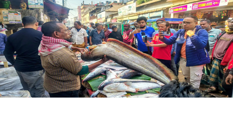 পৌষ সংক্রান্তিতে জমজমাট ঐতিহ্যবাহী মাছের মেলা