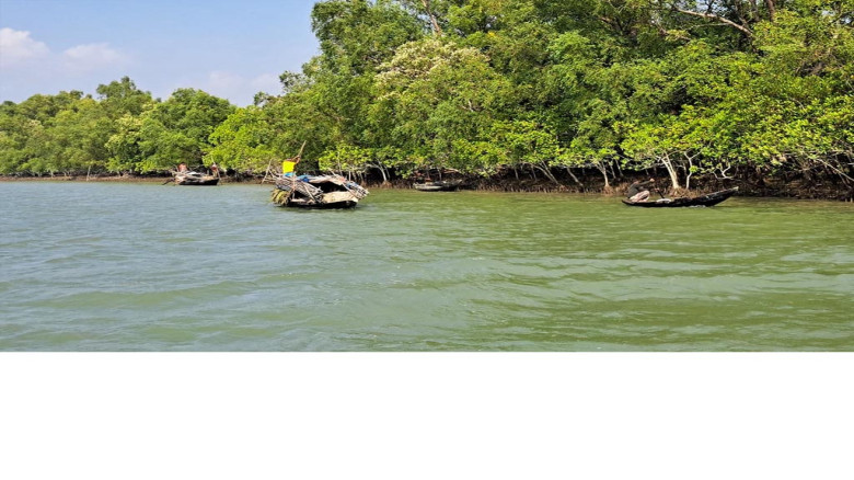 সুন্দরবনে ফের আতঙ্ক: সক্রিয় সাত দস্যুদল