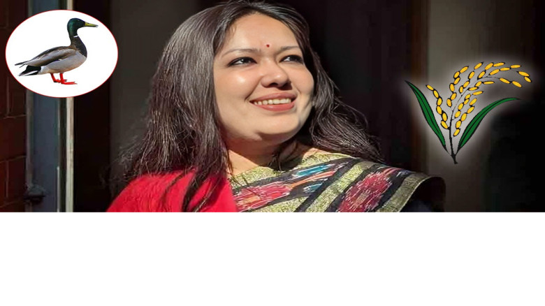 আমার হাঁস আমার চাষ করা ধানই খাবে: সরাইলে রুমিন ফারহানা