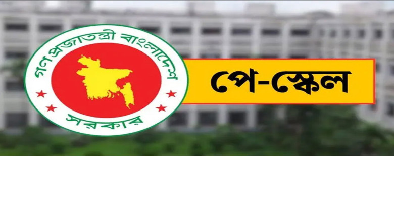 নতুন বেতন স্কেলে প্রাথমিক শিক্ষকদের বেতন বাড়ছে কতটা...