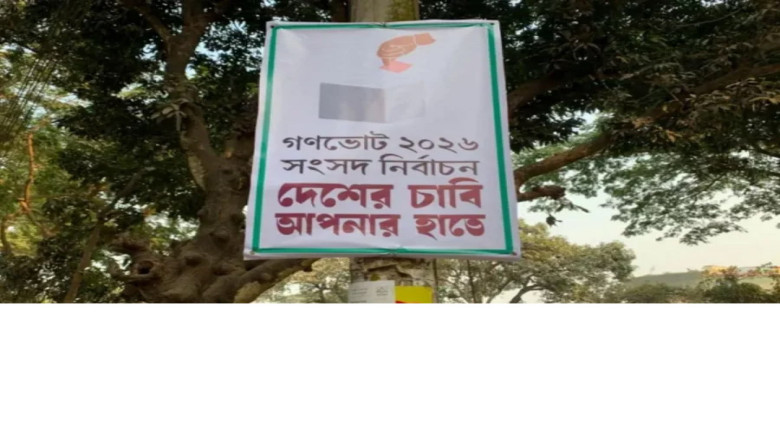 গণভোটে ‘হ্যাঁ’ এলে সংবিধানে কী কী বড় পরিবর্তন আসছে