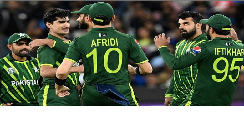 টি-টোয়েন্টি বিশ্বকাপের সেমিফাইনালে পাকিস্তানকে দেখছেন ইরফান 