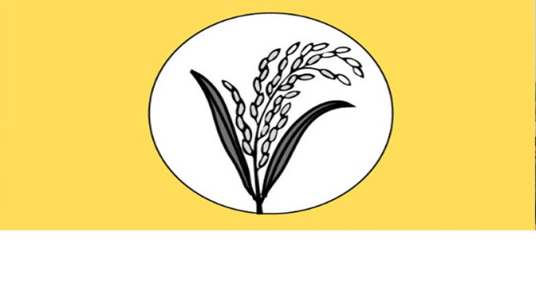 জোট সমঝোতায় ৯ আসনে নেই ধানের শীষ