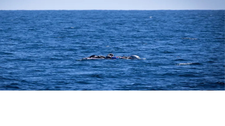 লিবিয়ার উপকূলে নৌকাডুবি, দুই শিশুসহ ৫৩ অভিবাসীর মৃত্যু আশঙ্ক