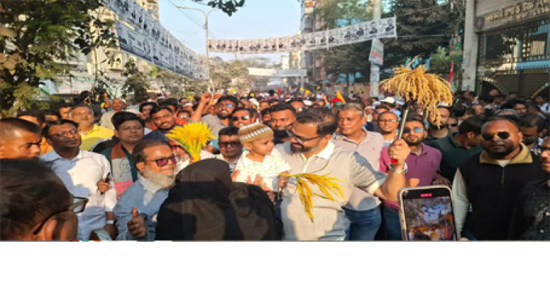 ভোট নষ্ট না করার আহ্বান, ধানের শীষে সমর্থন চান আমিনুল হক