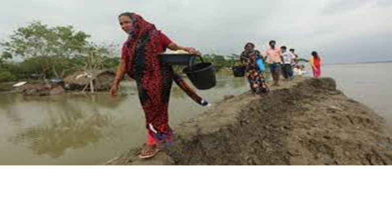বিএনপি-জামায়াতের পরিবেশ ও জলবায়ু পরিকল্পনা: নির্বাচনের অঙ্গী