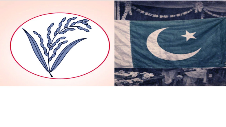 পাকিস্তান বিএনপির জয়কে ইতিবাচক বলে উল্লেখ