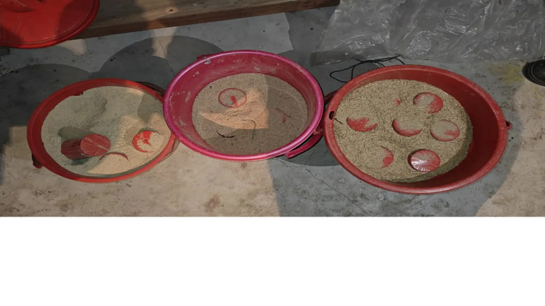 পরিত্যক্ত দোকানে লাল বালতিভর্তি বিস্ফোরক, চোরাই ব্যাটারিও জব