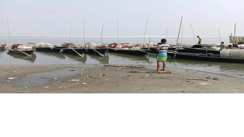 টেকসই ব্যবস্থাপনা ছাড়া রক্ষা পাবে না ব্রহ্মপুত্রের প্রাণবৈচি