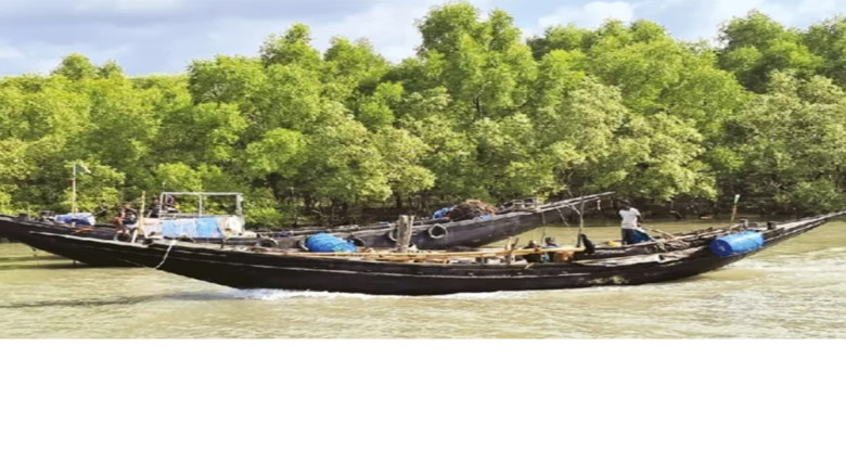 সুন্দরবনে বনদস্যুর আতঙ্কে দুবলার জেলেরা মাছ ধরা বন্ধ