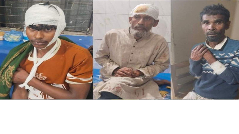 পিরোজপুরে আ.লীগের হামলায় বিএনপির নেতা-কর্মীরা রক্তাক্ত