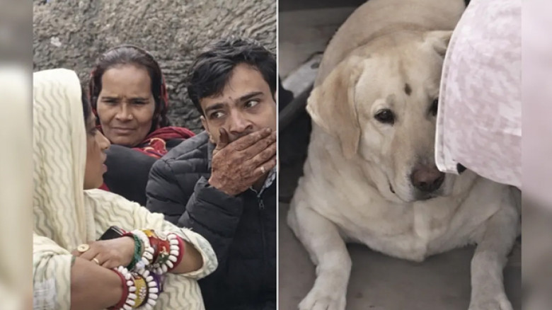 কনের কুকুর ঘিরে বিয়েবাড়িতে সংঘর্ষ, বাতিল হলো অনুষ্ঠান