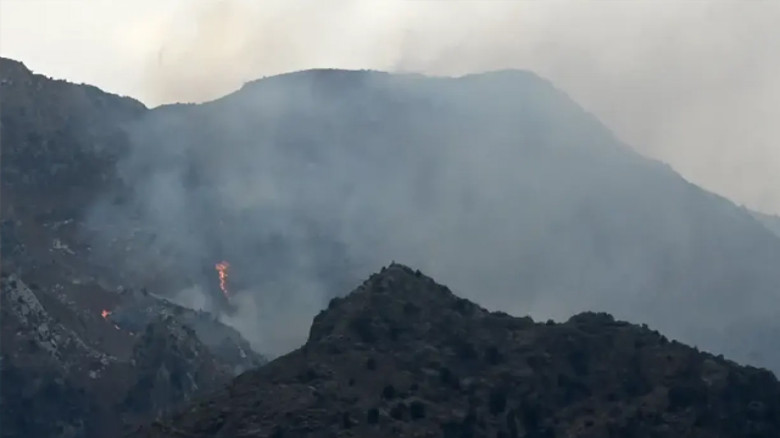 আফগানদের বিরুদ্ধে জিরো টলারেন্স নীতি ঘোষণা করেছেন শাহবাজ শরি