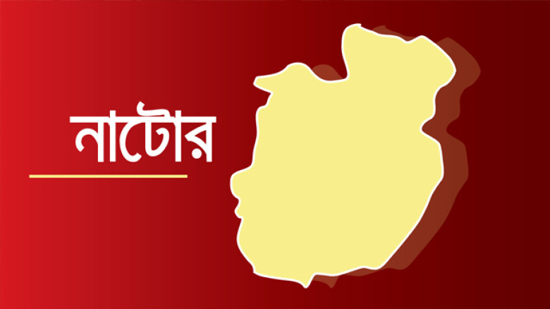 শিশু নির্যাতনের ঘটনায় নাটোরের মাদ্রাসা শিক্ষক পুলিশের কাছে