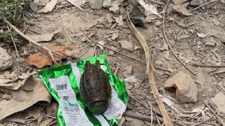 নরসিংদীতে বিলের পানিতে পাওয়া গ্রেনেড উদ্ধার