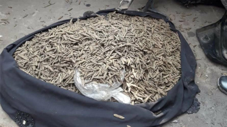 গাইবান্ধা ট্রাফিক চেকপোস্টে ১০ কেজি গাঁজা উদ্ধার