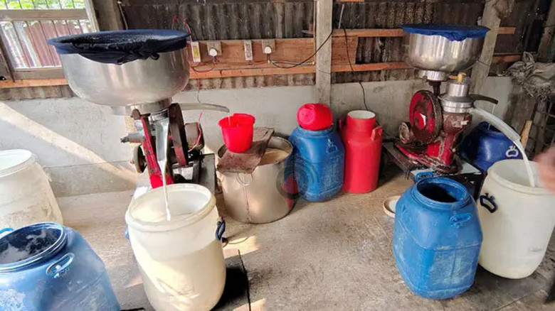 অভিযানের পরও বন্ধ নয় ভাঙ্গুড়ার ভেজাল দুধ কারবার