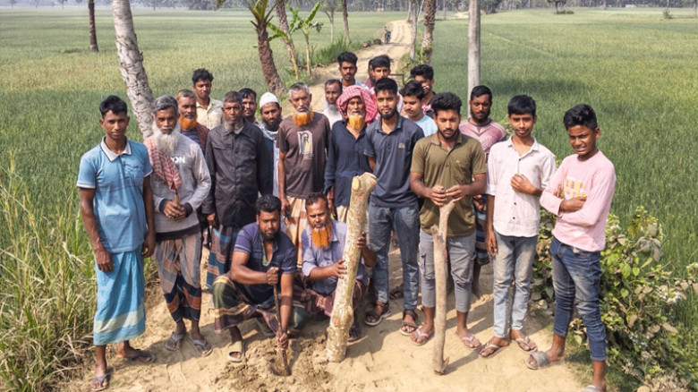 ফরিদপুরের সালথায় ভাঙাচোরা রাস্তায় খুঁটি পুঁতে ক্ষোভ প্রকাশ গ