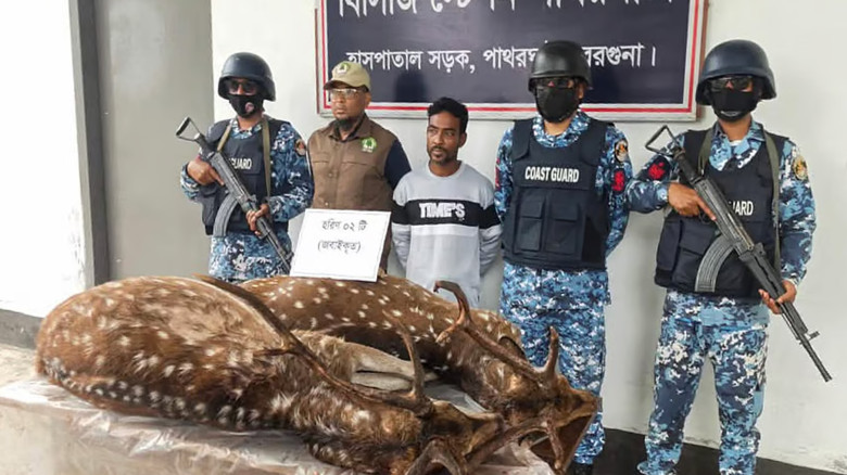 বনবিভাগের অভিযানে হরিণ চোর হানিফা জেলে, স্ত্রী তালাক নিলেন