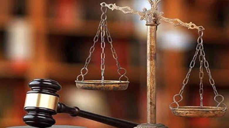 মোহাম্মদপুরে বিড়াল হত্যার ঘটনায় আদালতের রায়, ৬ মাসের জেল