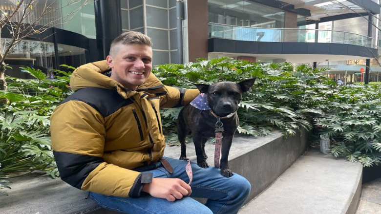 এআই প্রযুক্তিতে কুকুরের ক্যানসার চিকিৎসায় চমক 