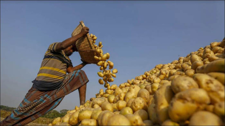 ভিয়েতনামের বাজারে প্রবেশ করলো বাংলাদেশি আলু