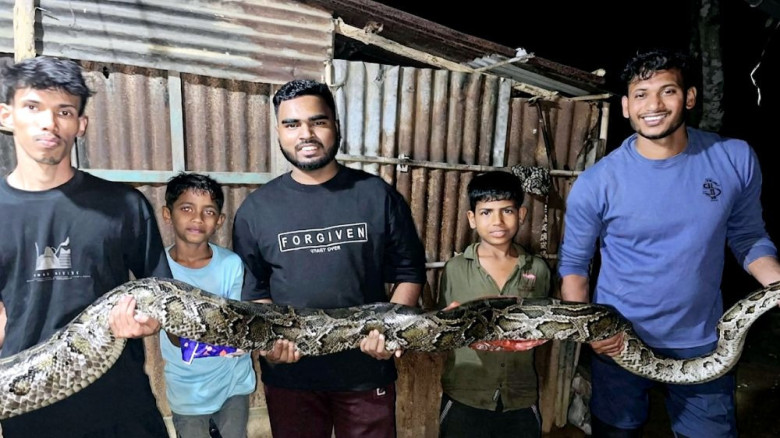 ১৩ ফুট লম্বা অজগর লাউয়াছড়া বনে অবমুক্ত