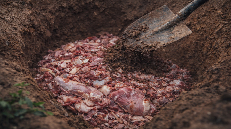 ভ্রাম্যমাণ আদালতের অভিযানে জব্দ মাংস ধ্বংস