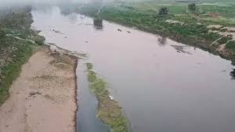 সীমান্তে কুমির-সাপ মোতায়েনের চিন্তা ভারতের, নিরাপত্তা কৌশলে 