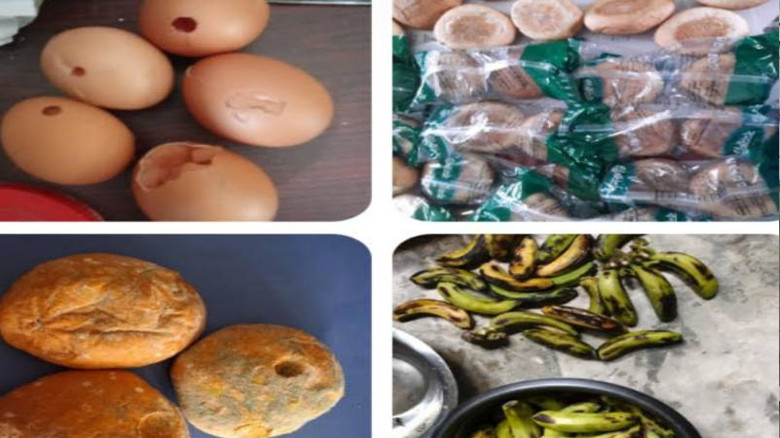 সরকারি প্রাথমিক বিদ্যালয়ে মিড ডে মিল: শিক্ষার্থীদের পাতে পচা