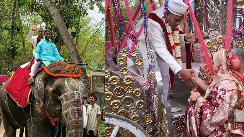 জয়পুরহাটে হাতির পিঠে বর, ঘোড়ার গাড়িতে কনে—ব্যতিক্রমী বিয়ে