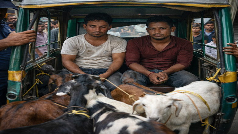 অটোরিকশায় ৫ ছাগল নিয়ে পালানোর সময় আটক ২