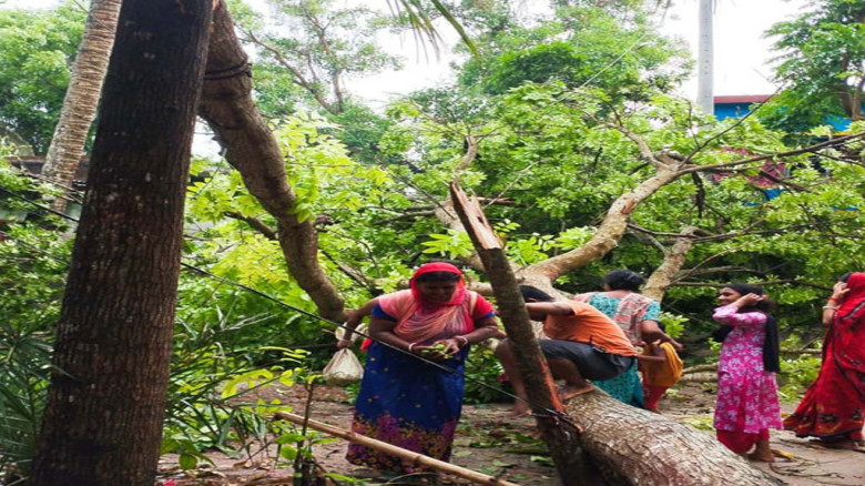 কেশবপুরে কালবৈশাখীর তাণ্ডব, ভেঙে পড়ল গাছ-ঘর, আহত ৯