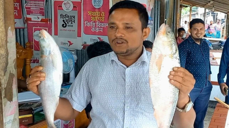 দুই ‘রাজা ইলিশ’ বিক্রি ১০ হাজারে, ভোলার মেঘনায় মিলল বড় সাইজে
