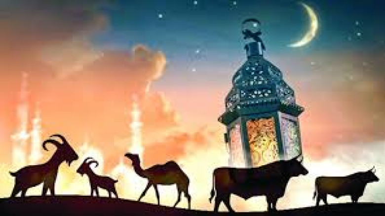 কোরবানির জন্য কোন পশু বৈধ—জানুন সহজভাবে