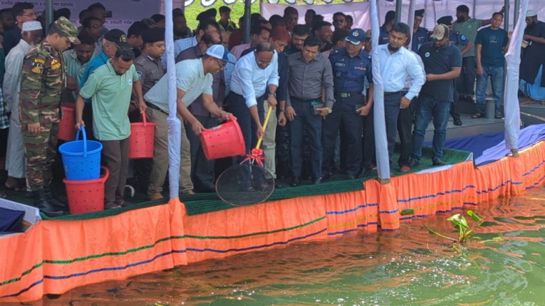 কাপ্তাই হ্রদে মাছ উৎপাদন বাড়াতে পোনা অবমুক্ত কর্মসূচি শুরু