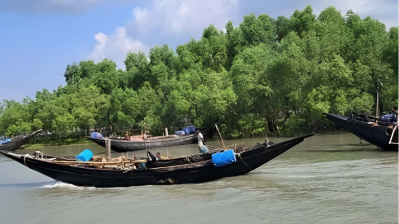 সাতক্ষীরায় সুন্দরবনে ১৭ জেলে এখনো জিম্মি, ৫ জন ছাড়া পেয়েছেন