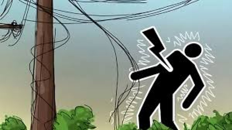 গাছের পাশে বৈদ্যুতিক লাইন, প্রাণ গেল কিশোর আশরাফুলের