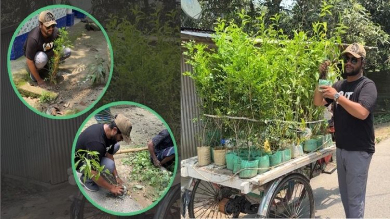 ব্যতিক্রমী উদ্যোগে গ্রামজুড়ে সবুজায়ন, প্রশংসায় এলাকাবাসী
