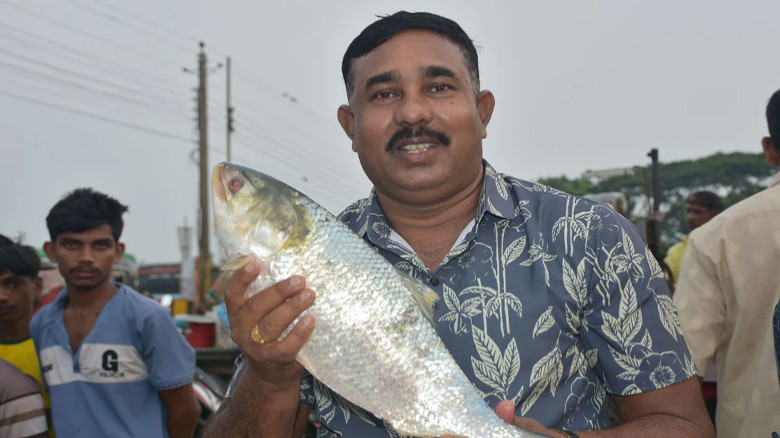 পদ্মার এক ইলিশের দাম ৮ হাজার ৪৬০ টাকা