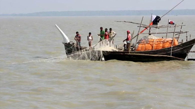 ভরা মৌসুমেও ইলিশ নেই, লোকসানে ভোলার মাছঘাট ও জেলেরা