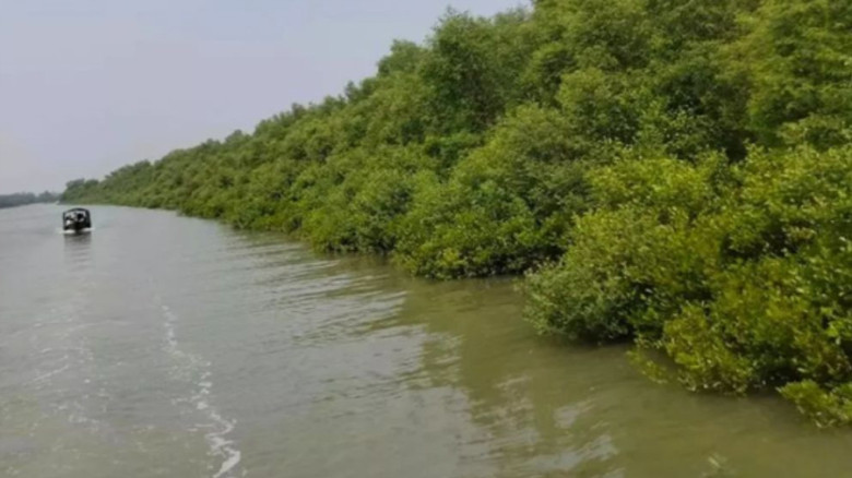 সুন্দরবনে কোস্টগার্ডের সঙ্গে গোলাগুলি, নিহত ১; আহত ২