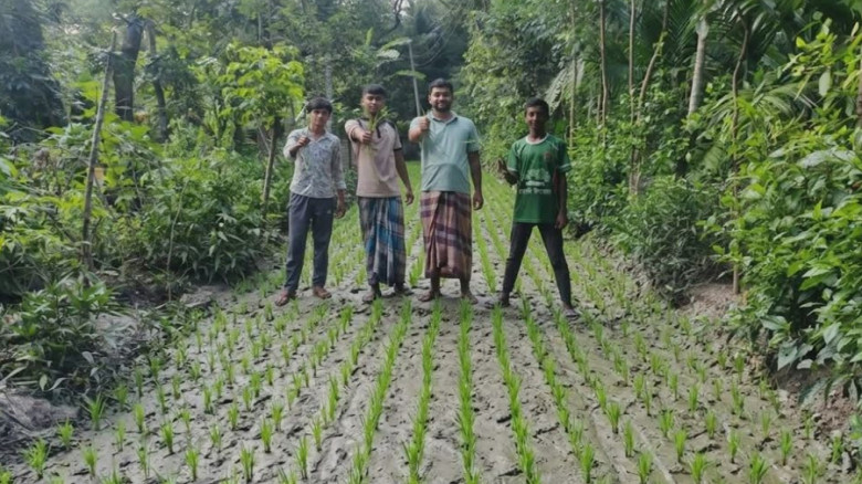 লক্ষ্মীপুরে সড়ক সংস্কারের দাবিতে রাস্তায় ধান রোপণ