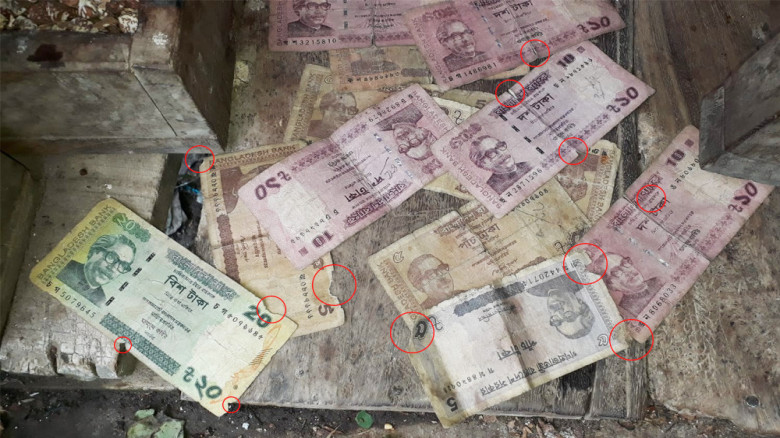 টাকা যেন জীবাণুর কারখানা, পোড়া নোটের নেপথ্যে কী?